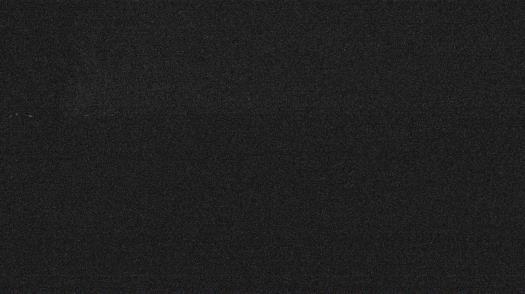 Weather camera view of Forest Lawn Beach.